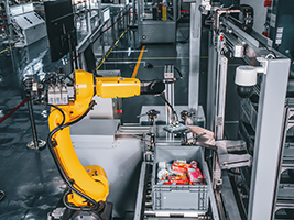 Leveraging Machine Vision Technology for High-Standard Digital Solutions in the Food and Pharmaceutical Industry