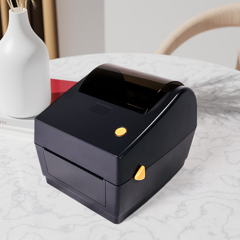 主图_0002_曲线 12